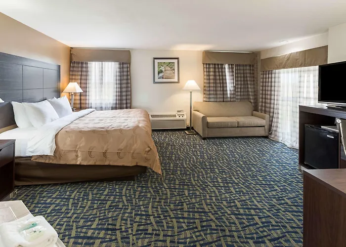 Quality Hotel 3*